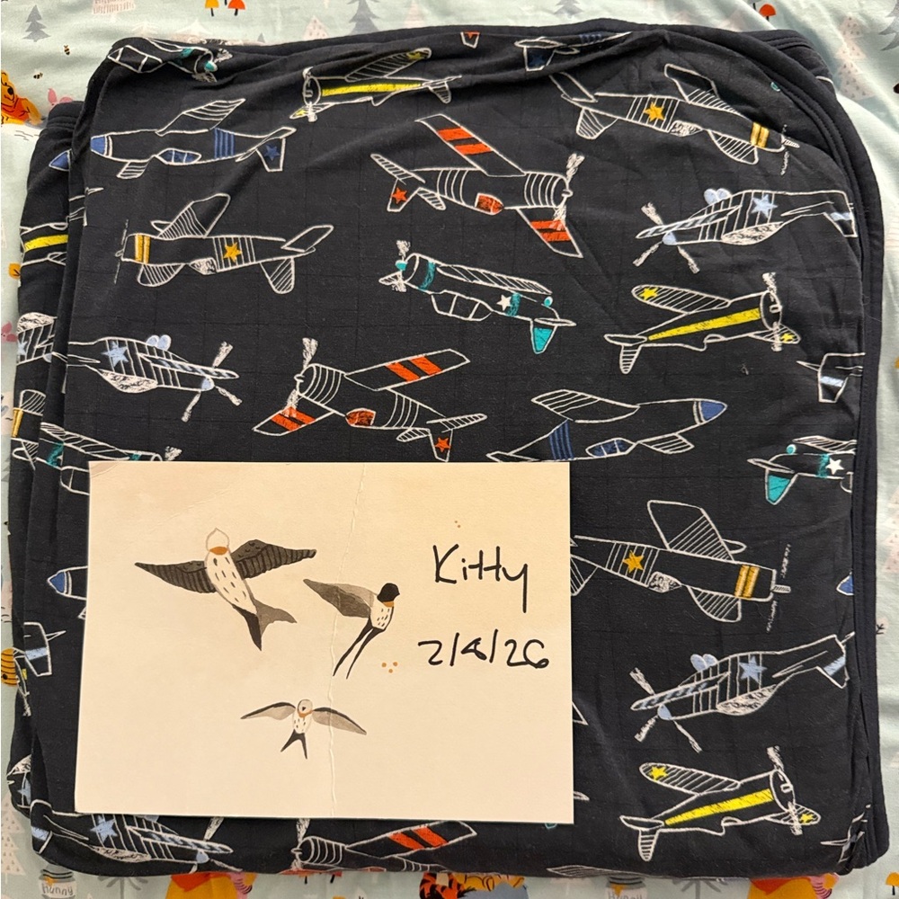 Little Sleepies Black Airplane Blanket